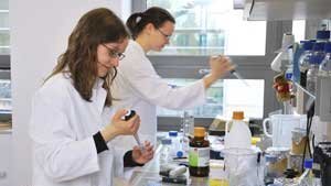 Students working in the laboratory